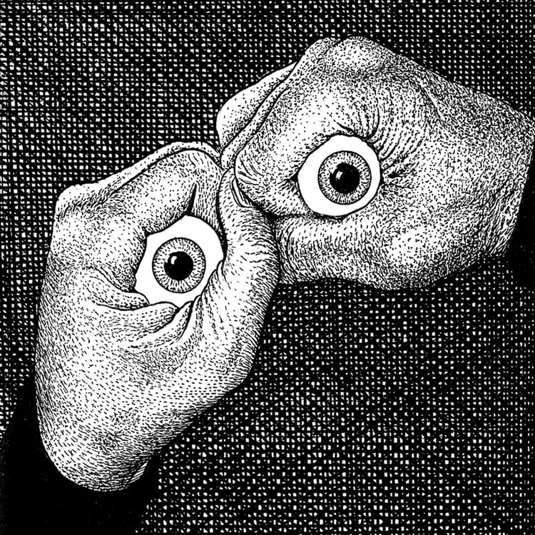 David Nolte