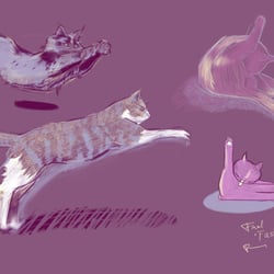 furward – logosketch
