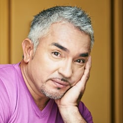 Cesar Millan