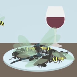 Klima Animation – Spiegel Online