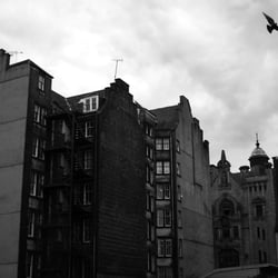 DSC9232