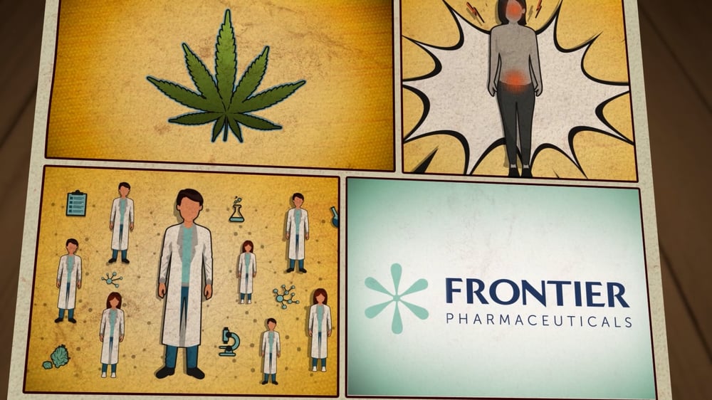 Endocannabinoid System Frontier Pharmaceutical That Works Media 12