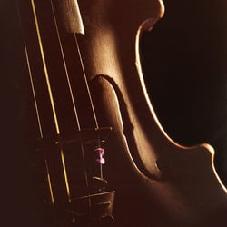 Instrument