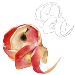 Apfel