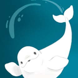 Beluga-Wal