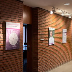 Wanderausstellung Displays  im Rathaus in Hofheim