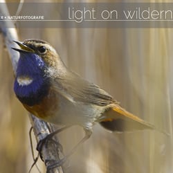 Martin Sinzinger – Naturfotografie