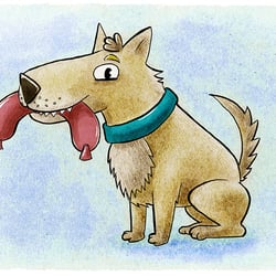 Tierillustrationen Charaktere
