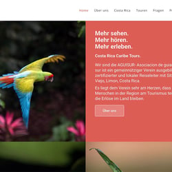 https://costaricacaribetours.com