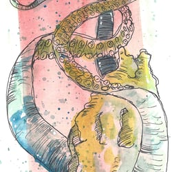 Oktopus