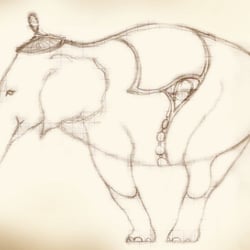 Elefant