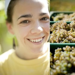 Uvas 18