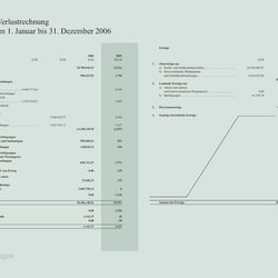 hallbaum geschaeftsbericht 2006 Seite 2223