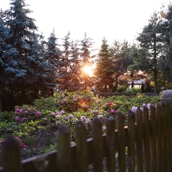Elbsandsteingebirge