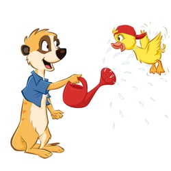 Erdmännchen/Ente