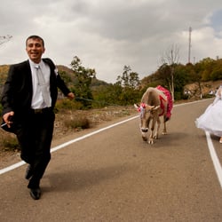 Big Wedding, Nagorno Karabakh. About 700 couples got married on 16.10.2008.