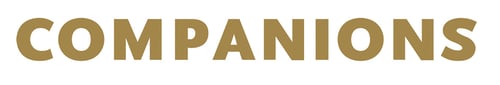 Companions GmbH