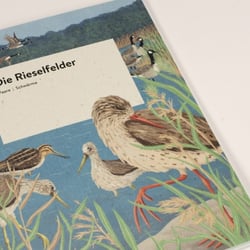 Begleitheft „Die Rieselfelder“ – Cover