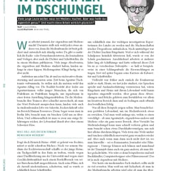 Magazinillustration Kater Demos