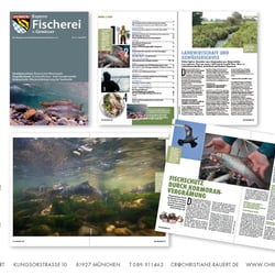 Magazin Bayerns Fische + Gewässer