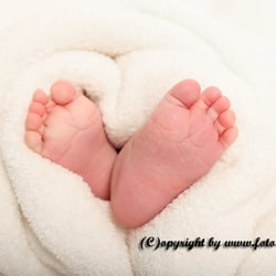 IMG 2689 web