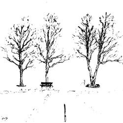 ramsau