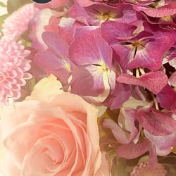 Flower Power / 2022