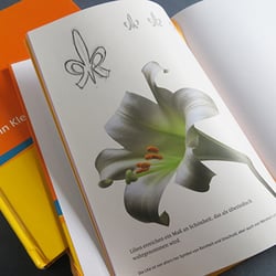 Mitarbeiterbuch zur Einführung des neuen Corporate Designs