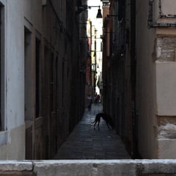 Italy Venice 2026