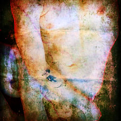 Torso 1754