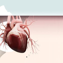 Editorial piece on „High Blood Pressure“, 2017