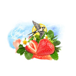 Marmelade