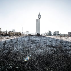 alb3 img1634