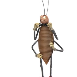 roach fly