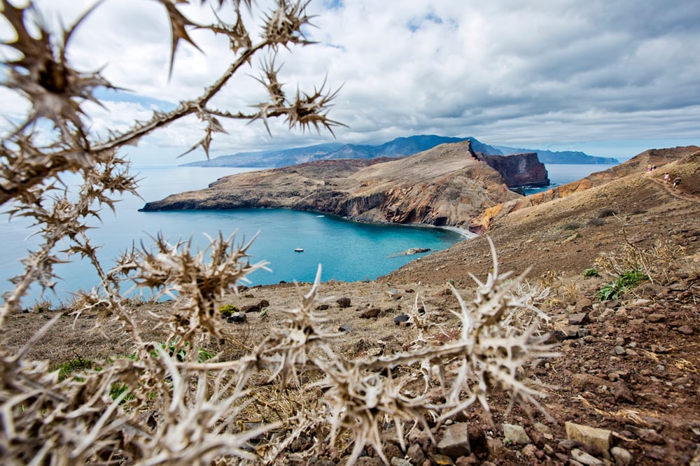 Madeira