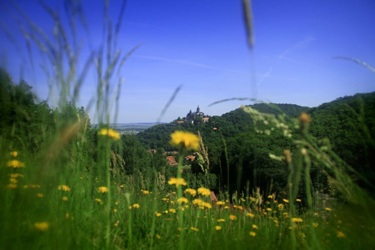 Wernigerode