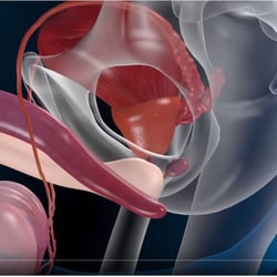 3D Animation zur Präsentation von CAD Konstruktion-Daten