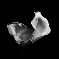 POTFOLIO033
