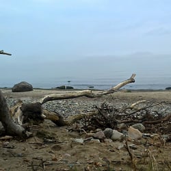 Ostseestrandgut
