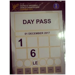 day Pass Handballweltmeisterschaften