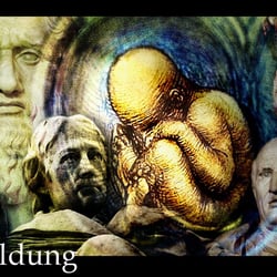 Bildung unter humanistischen Aspekten
