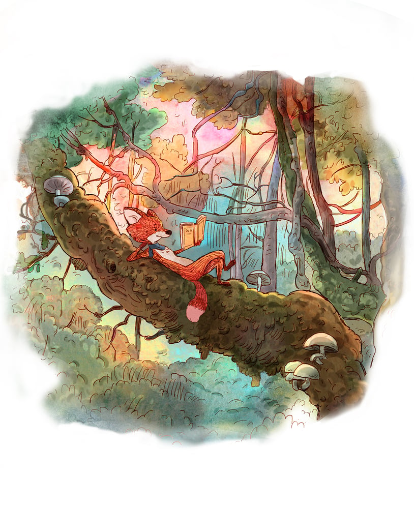 The Fox and the box