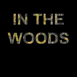 Tana French „In the Woods“