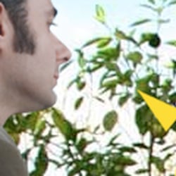 Aktueller MTV-Spot auf www.sonne-sonne-sonne.de