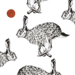 How The Rabbit Runs