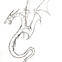 Lindwurm, Skizze