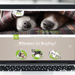 Website
