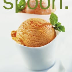 01 spoon 01.13