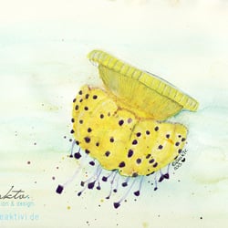 Colorful Jellyfish #2