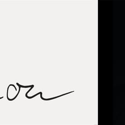 L O G O. Simone Zimbardo signature process